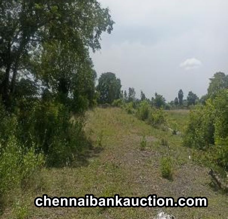 bank auction vacant land at Paparmbakkam Village